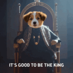 KingMufey