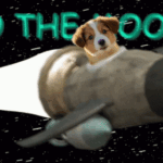 MufeyMoonship