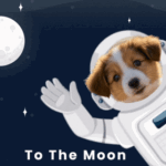 MufeySpacemoon